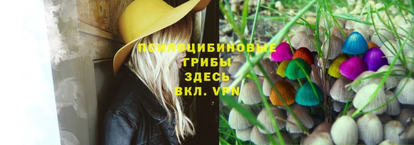 гашик Алексин