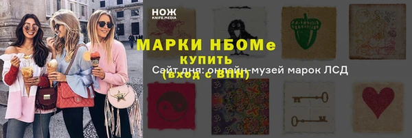 гашик Алексин