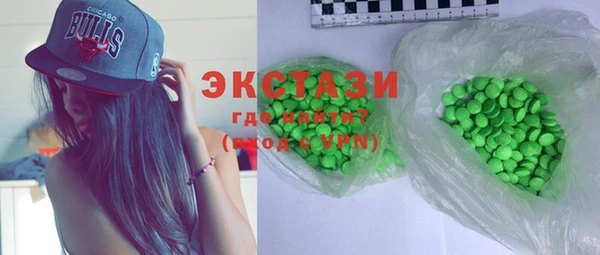 гашик Алексин
