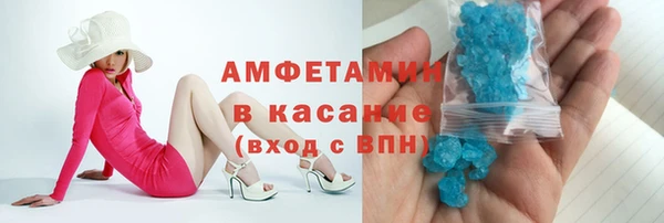 гашик Алексин