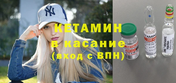 гашик Алексин