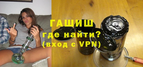 гашик Алексин