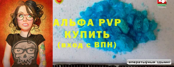 гашик Алексин
