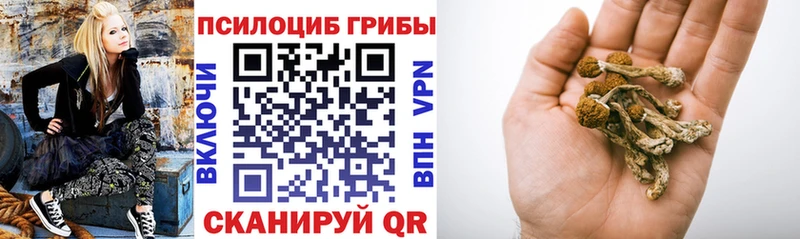 Купить  Мончегорск  Галлюциногенные грибы Psilocybine cubensis 